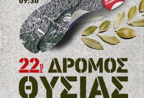 22ος Δρόμος Θυσίας Ηρωικής Πόλης Νάουσας